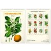 Nstnn kalend, Vintage plakty - herb 2026